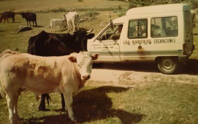 Excavaciones Borja Romero: cuando el apellido es garantía de trabajo bien hecho